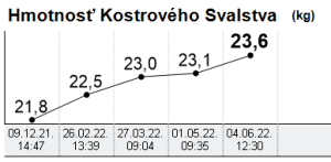 Heckova svaly