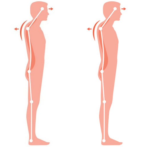 držanie tela postúra chrbtica